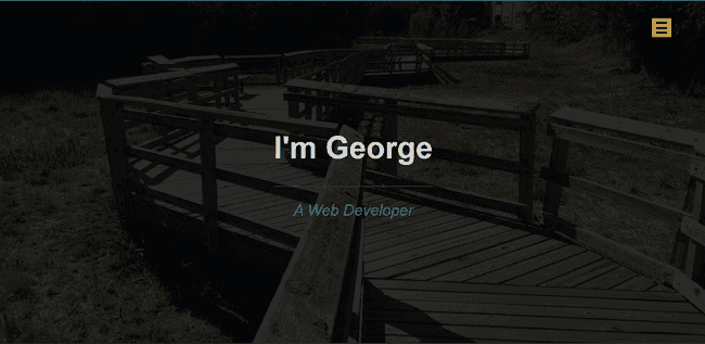 old website landing page